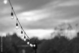 preview bw
