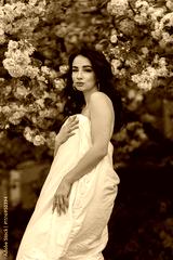 preview sephia