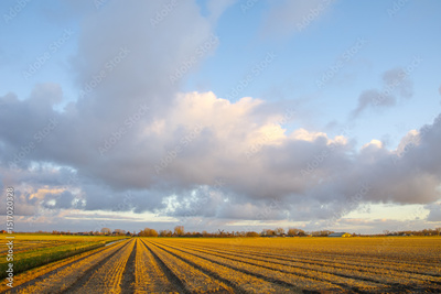 image to crop