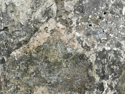 image to crop