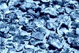 preview cold