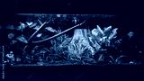preview cold