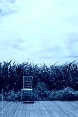 preview cold