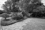 preview bw