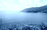 preview cold