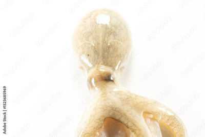 image to crop