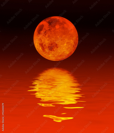 image to crop