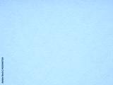 preview cold