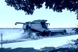 preview cold