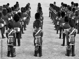 preview bw