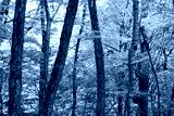 preview cold