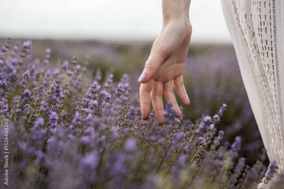 image to crop