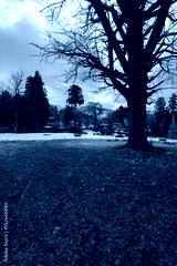 preview cold