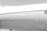 preview bw