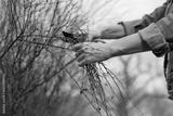 preview bw