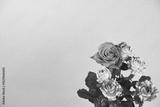 preview bw