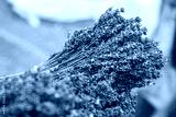 preview cold