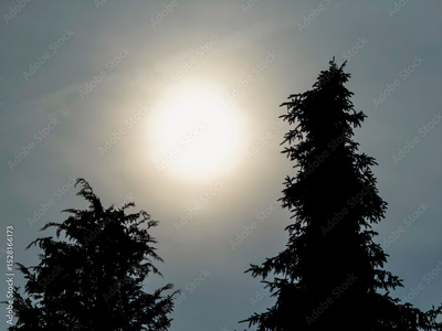 image to crop