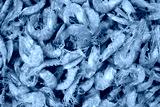 preview cold