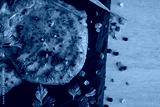 preview cold