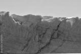 preview bw