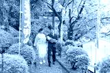 preview cold