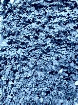 preview cold