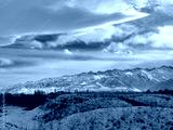 preview cold