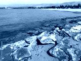 preview cold