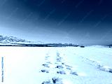 preview cold