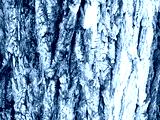 preview cold