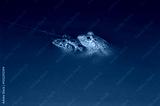 preview cold