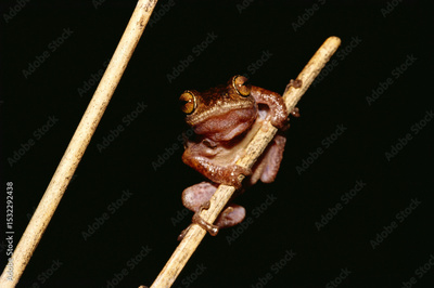 image to crop