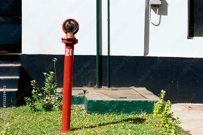 image to crop