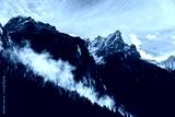 preview cold