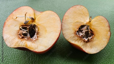 image to crop
