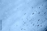 preview cold