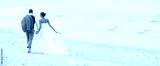 preview cold