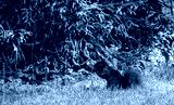preview cold