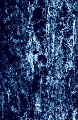 preview cold