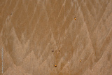 preview original