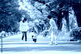 preview cold