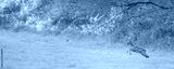 preview cold
