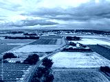preview cold