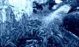 preview cold