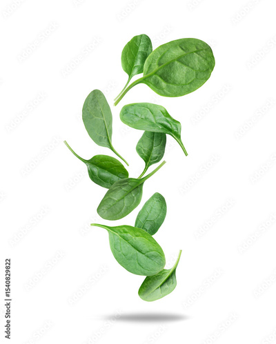 image to crop
