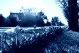 preview cold