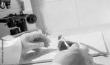 preview bw