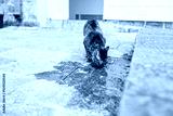 preview cold