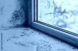 preview cold